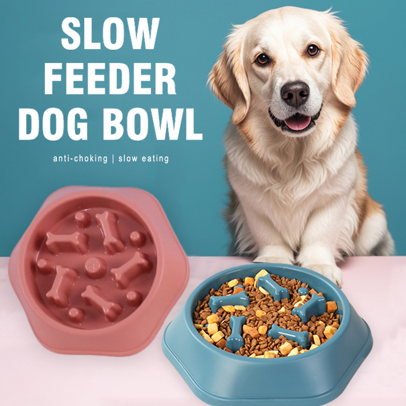 ชามอาหารสุนัขแบบกินช้า ป้องกัน - Royal Canin Food Medium บทวิจารณ์และราคา